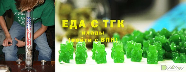 гидра Верхний Тагил