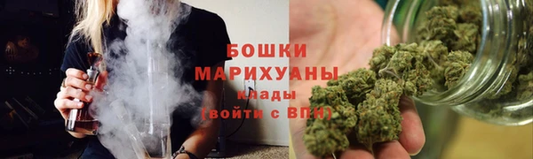 гидра Верхний Тагил