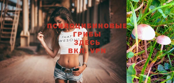 гидра Верхний Тагил
