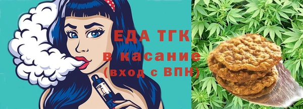 гидра Верхний Тагил