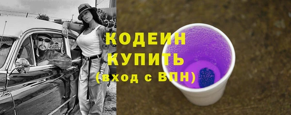гидра Верхний Тагил