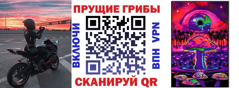мега   Обнинск  Псилоцибиновые грибы прущие грибы 